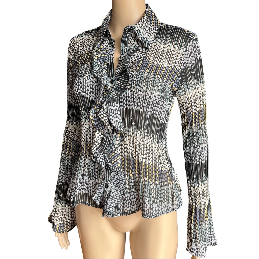Y2K Camille Chiffon Ruffle Semi Sheer Blouse L